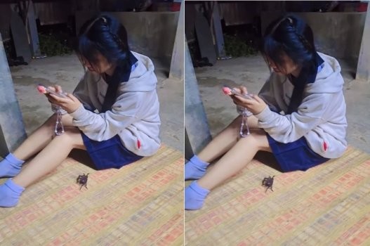 Poster of Bạn sang nhà chơi chỉ mong được vét máng